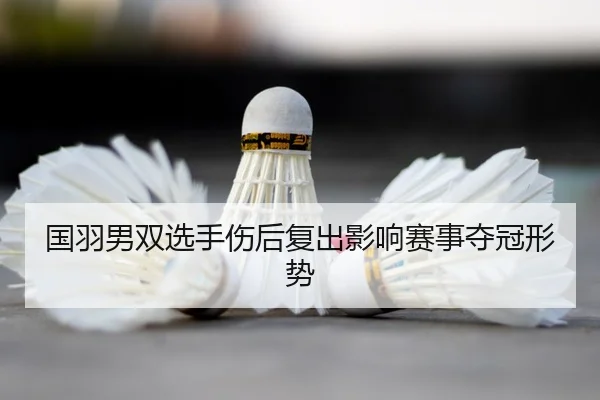 guo-yu-nan-shuang-xuan-shou-shang-hou-fu-chu-ying-xiang-sai-shi-duo-guan-xing-shi-2-905.jpg