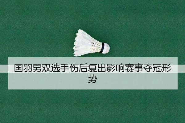 国羽男双选手伤后复出影响赛事夺冠形势（Nangong）